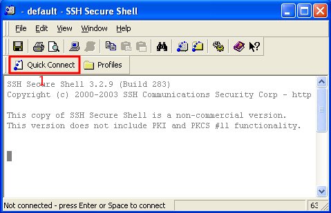 ssh shell command for deleting letter in insert mode file